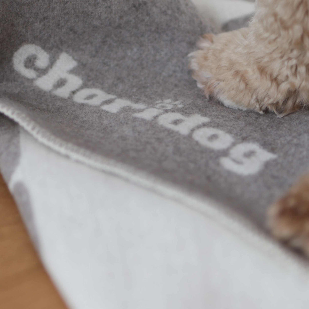 Hundedecke DOG VIBES ONLY