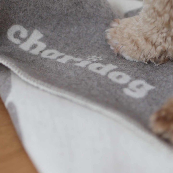 Hundedecke DOG VIBES ONLY